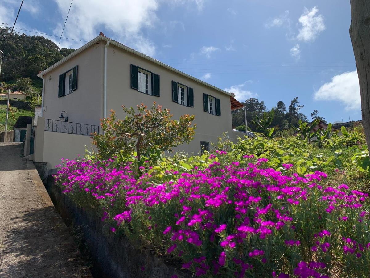 הוילה פורטו דה קרוז Terra Batista House מראה חיצוני תמונה